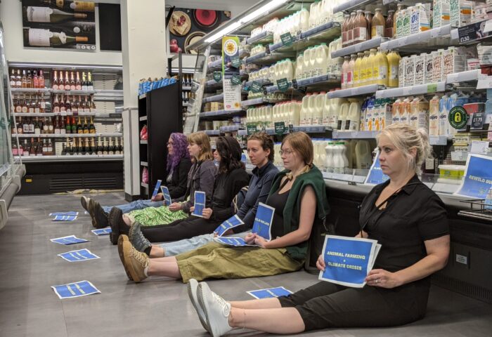 Animal Rebellion protestors seated on the floor of a supermarket milk aisle